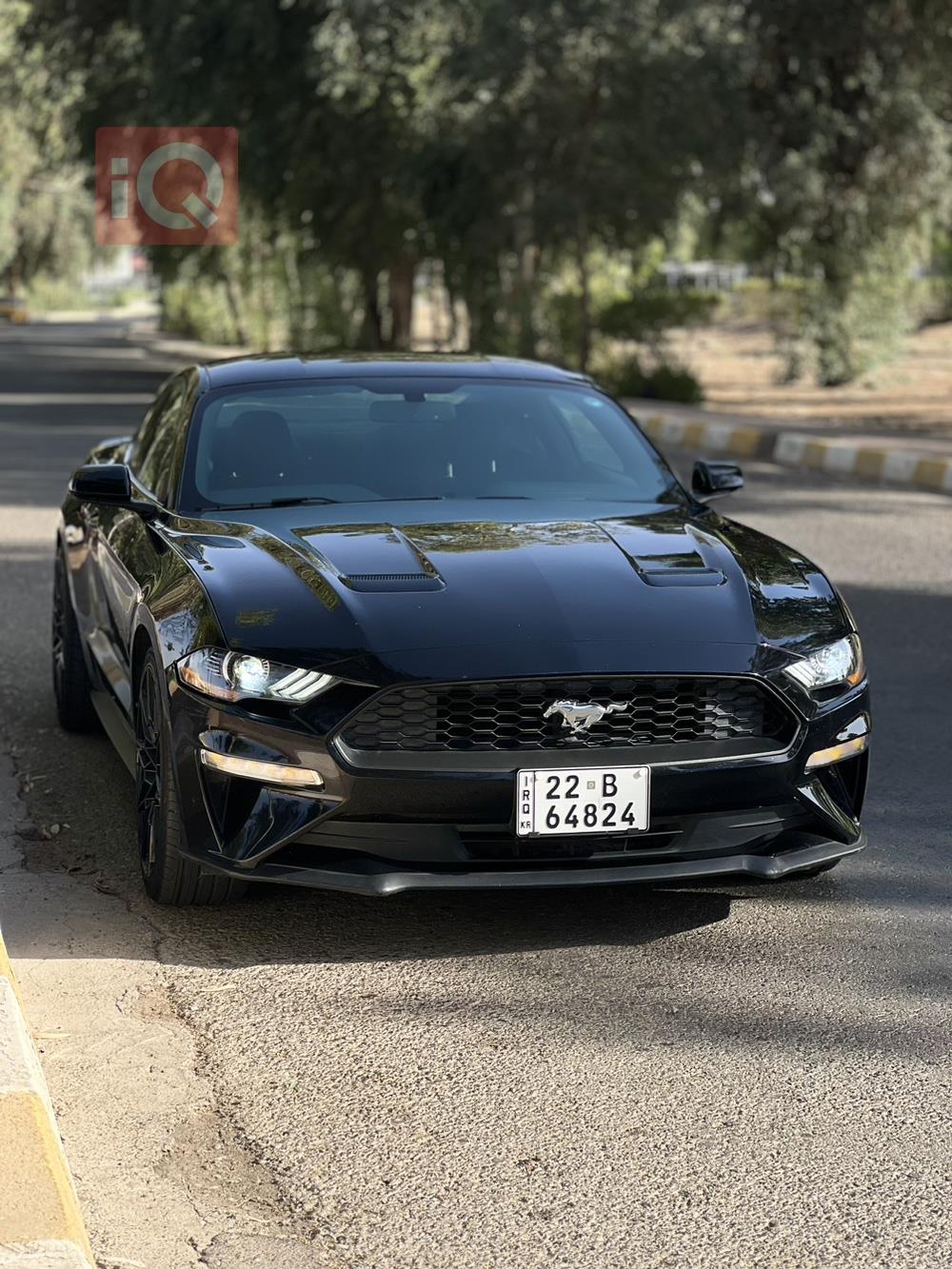 فۆرد مۆستانگ